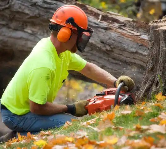 tree services Silverton